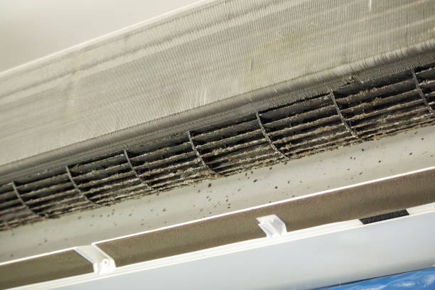 Best Air Vent Cleaning Services  in Pittsboro, NC